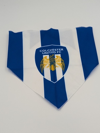 Crest Dog Bandana